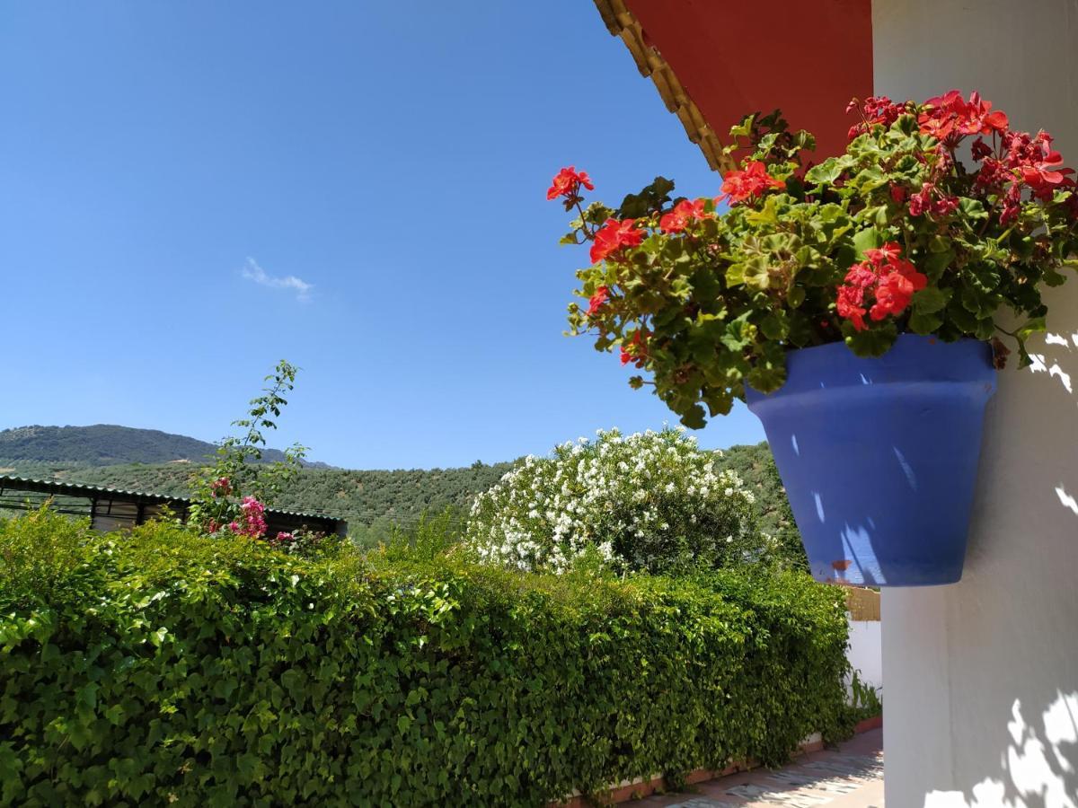 Villa Frasquita Priego de Córdoba Екстериор снимка